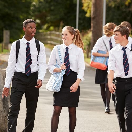 School Stock 004 Sfw